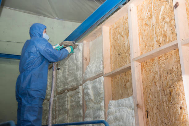 Best Insulation Repair Services  in Valley City, ND